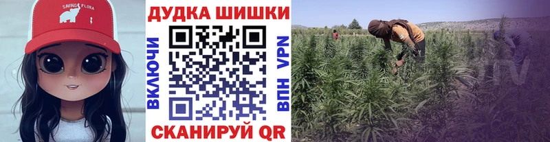 купить закладку  Беломорск  Каннабис THC 21% 